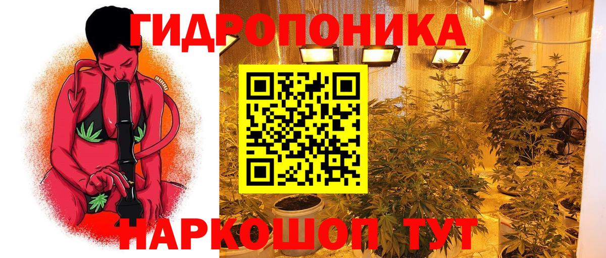 Бошки Шишки AK-47 Берёзовский